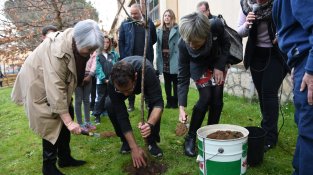 L'Escola Puig d'Arques planta la prunera de la pau