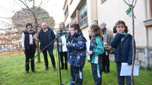 L'Escola Puig d'Arques planta la prunera de la pau