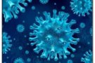 Tot el que has de saber sobre el nou coronavirus SARS-CoV-2