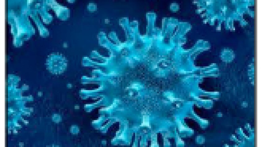 Tot el que has de saber sobre el nou coronavirus SARS-CoV-2