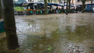El mercat al passeig:  amb mascaretes i sota la pluja