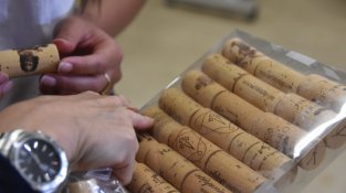 Aquest vespre, el suro de Cassà a "España en directo"