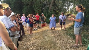 «De l’arbre al tap, del tap a taula», una proposta per als caps de setmana d'estiu