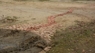 La major afectació ha estat en les rajoles que senyalitzaven el camí del senglar