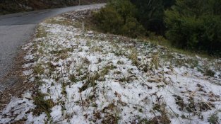Enfarinada a la carretera de Santa Pellaia