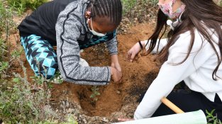 Els nens i nenes de Cassà planten 261 suros a diferents indrets del poble