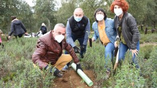 Els directors de  les escoles de Cassà, amb l'alcalde, també han plantat alguns suros