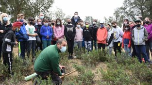 Explicant com s'ha de fer la plantada