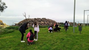 Plantada d'arbres a la zona verda del C/ Francesc Macià