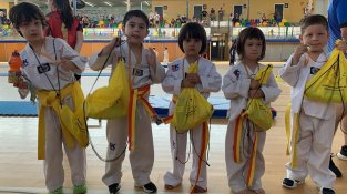 Copa Original Sports de taekwondo - kids