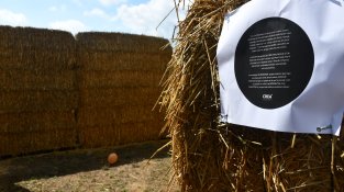 Maria Clara Riera, el confinament vist amb ulls d’arquitecta