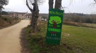Moltes activitats en la celebració del Dia de l'arbre a Can Vilallonga