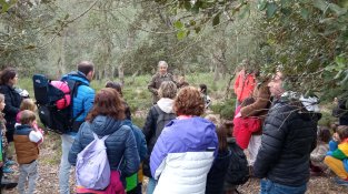 Moltes activitats en la celebració del Dia de l'arbre a Can Vilallonga