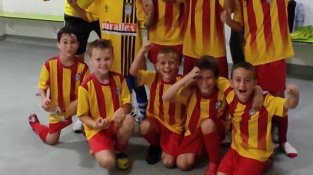 El Benjamí B