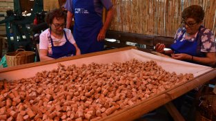 Diverses imatges de fira del Tap i l'acte inaugural