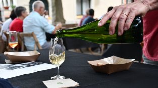 Tast de vins a la Fira