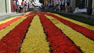 Els veïns encatifen el carrer Catalunya 