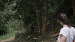 A punt d'estrena "Suro", un llargmetratge amb el món de les suredes de rerefons