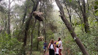 Inauguració de les mostres d'ArtGavarres