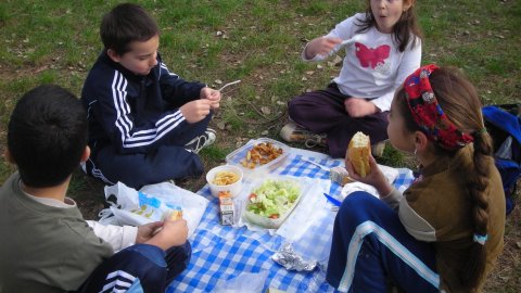 Berenar al camp