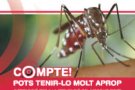 De moment no hi ha rastres de mosquit tigre a Cassà