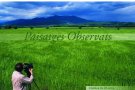 Paisatges observats per Antoni Martí