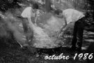 XXV Caminada i arrossada als Àngels del veïnat de Matamala