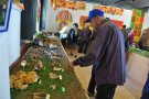 Els bolets arriben amb retard al concurs exposició