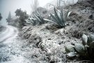 Neu a Santa Pellaia