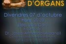 Nou acte per la marató