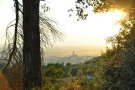 Rècord de temperatura al mes d'octubre: 33,6ºC