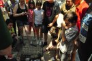 Tall de cabells solidari per ajudar la Claca a fer el nou Cau