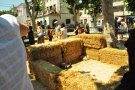 La Claca converteix el passeig Vilaret en un petit zoo