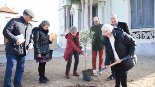 Els Amics de la Unesco celebren el Da de l'arbre a Cassà