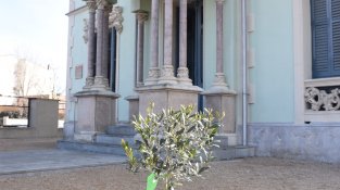 Els Amics de la Unesco celebren el Da de l'arbre a Cassà