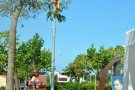 Esquerra Republicana celebrarà l’Onze de Setembre amb l’ofrena a Josep Dalmàs, darrer batlle cassanenc de la República