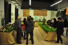 114 espècies diferents, a l'exposició de bolets d'enguany