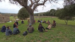 Torna el dia de l'arbre