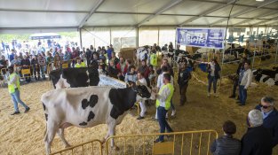 La 39a Fira Comarcal de Primavera tornarà a convertir Campllong en l'epicentre del món rural gironí