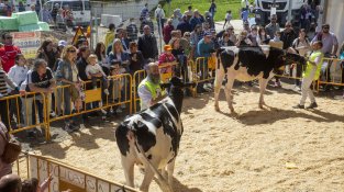La 39a Fira Comarcal de Primavera tornarà a convertir Campllong en l'epicentre del món rural gironí