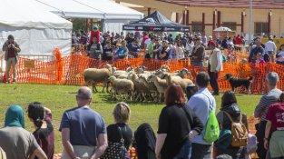 La 39a Fira Comarcal de Primavera tornarà a convertir Campllong en l'epicentre del món rural gironí