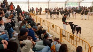 Més de 12.000 persones omplen Campllong el primer dia de la 39a Fira de Primavera