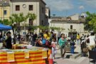 Rafel Nadal està enllestint la biografia de Francisco Oller