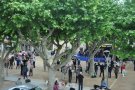 Una serenata especial, aquest vespre, a la nau polivalent