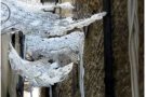 Guardó per a una arquitecta cassanenca