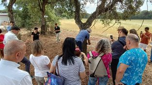 40 activitats a la Fira del Tap i el Surp del proper cap de setmana