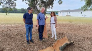 40 activitats a la Fira del Tap i el Surp del proper cap de setmana