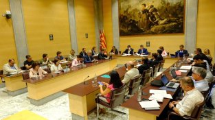 Una imatge del ple d'aquest migdia