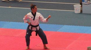 Moviments del campionat de tècnica de la Sandra 
