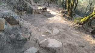 Nova intervenció arqueològica al poblat ibèric del Puig del Castell de Cassà